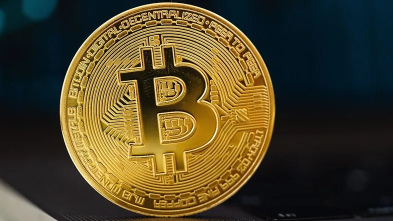 Pura Cryptoza - Pura Cryptoza